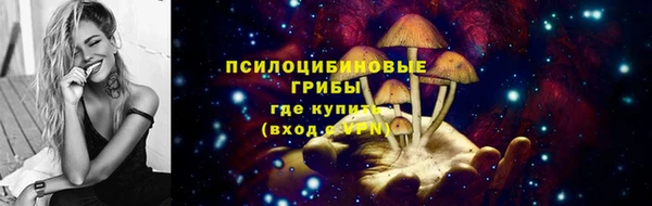 ПСИЛОЦИБИНОВЫЕ ГРИБЫ Алексин