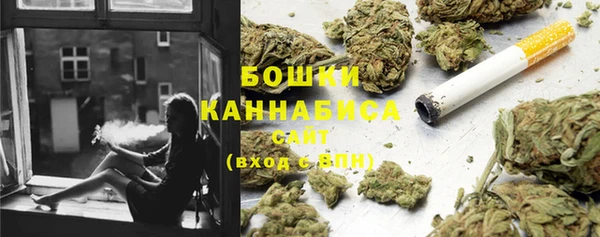 ПСИЛОЦИБИНОВЫЕ ГРИБЫ Алексин
