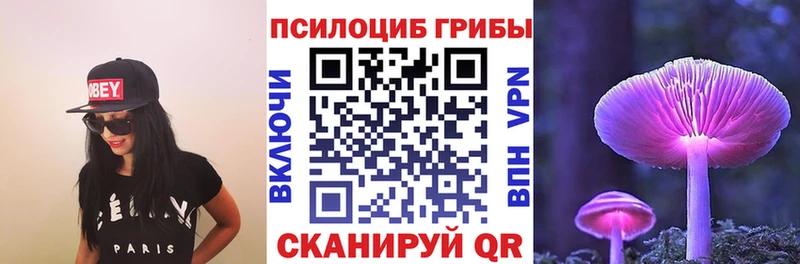 сайты даркнета какой сайт  Ессентукская  Псилоцибиновые грибы Psilocybine cubensis  наркошоп 